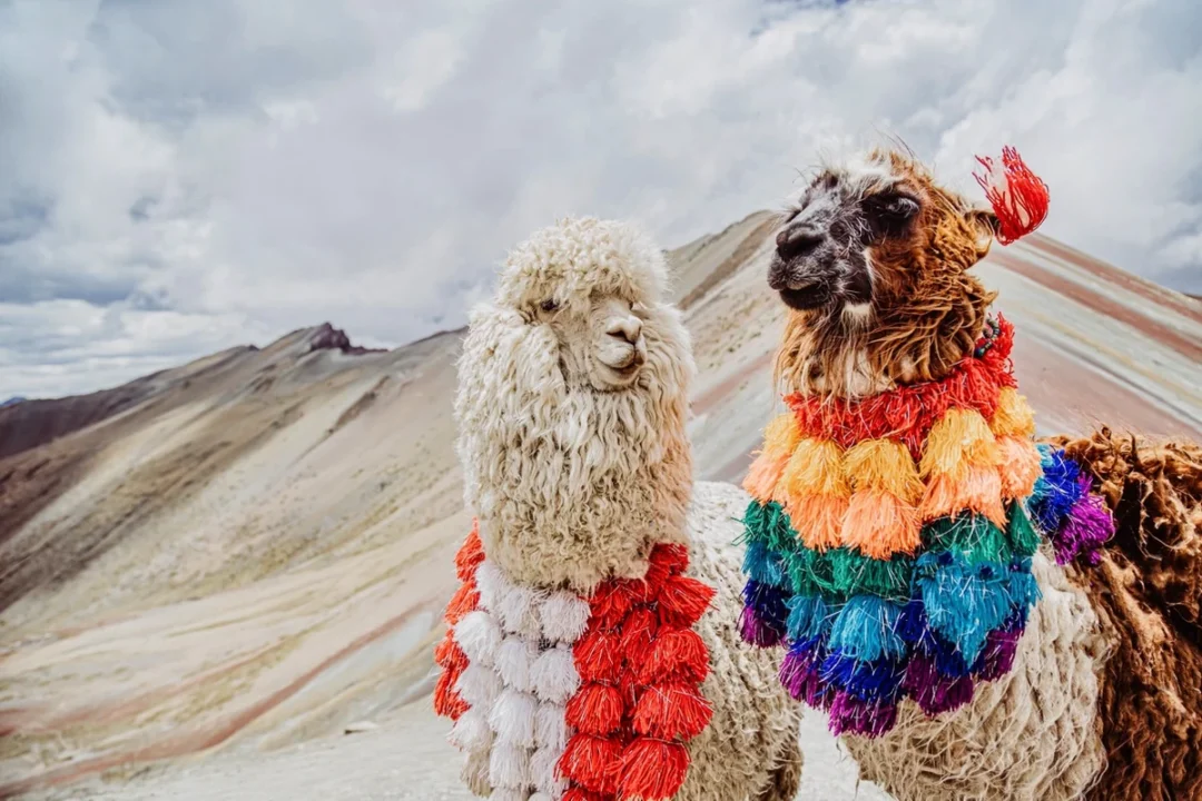Montaña Vinicunca - Cusco